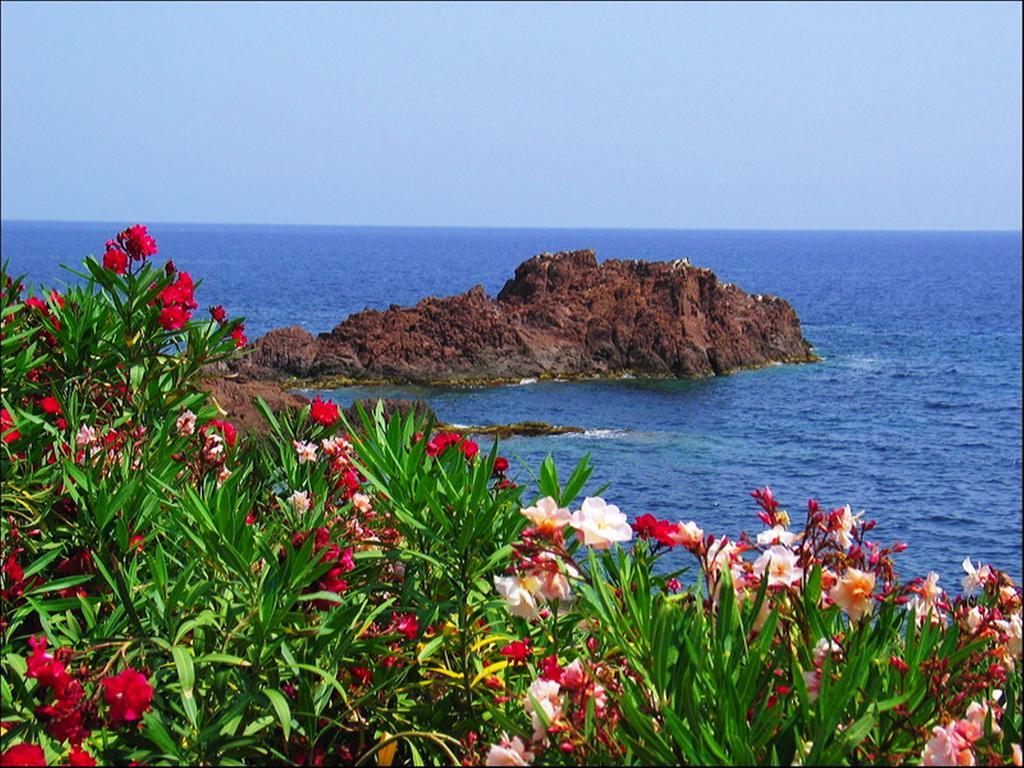 Vacanceole - Les Calanques Du Parc Fréjus 외부 사진