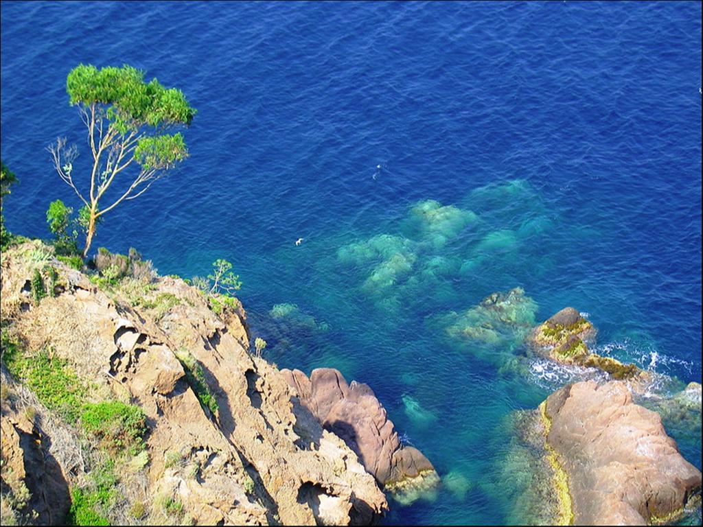 Vacanceole - Les Calanques Du Parc Fréjus 외부 사진